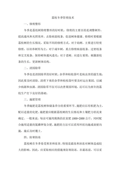 荔枝冬季管理技术