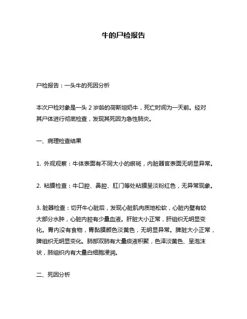 牛的尸检报告