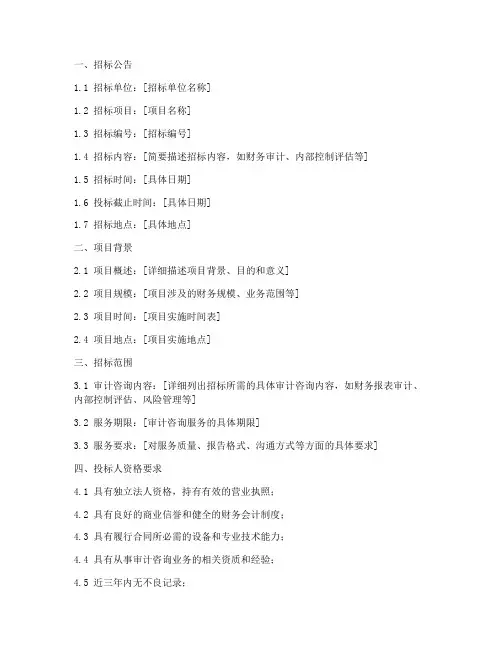 审计咨询招标文件