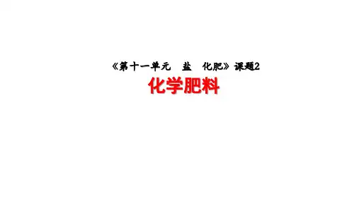 人教版九年级化学 第十一单元 课题2化学肥料 课件(共28张PPT)