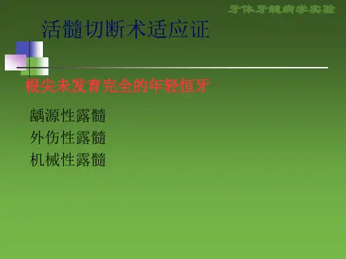 实验十一活髓切断术