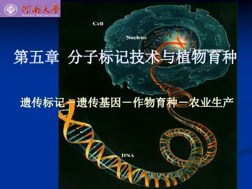 [精品]第五章分子标记技巧与植物育种