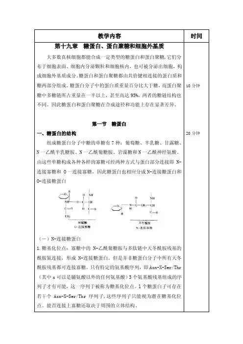 第十九章：糖蛋白