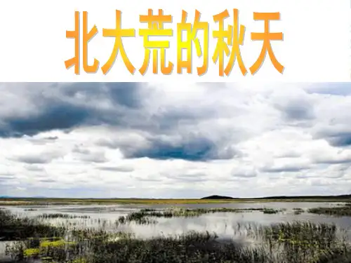 苏教版三年级语文上册北大荒的秋天课件