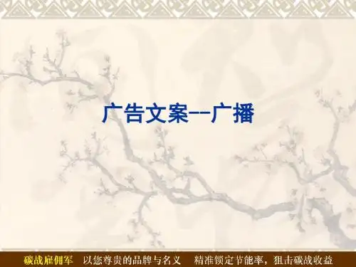 广播广告文案参考资料.ppt