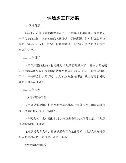 试通水工作方案