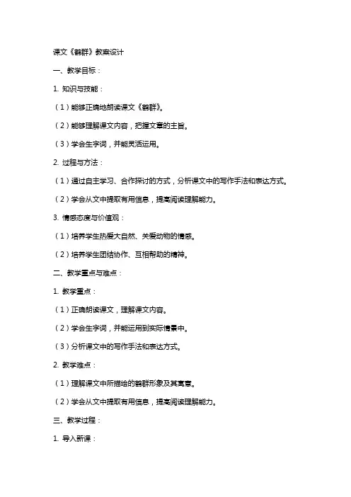 课文鹤群的教案设计