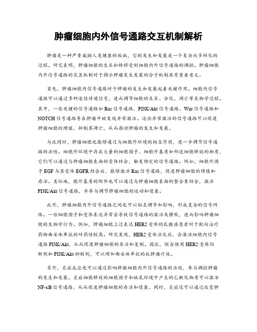 肿瘤细胞内外信号通路交互机制解析