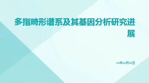 多指畸形谱系及其基因分析研究进展