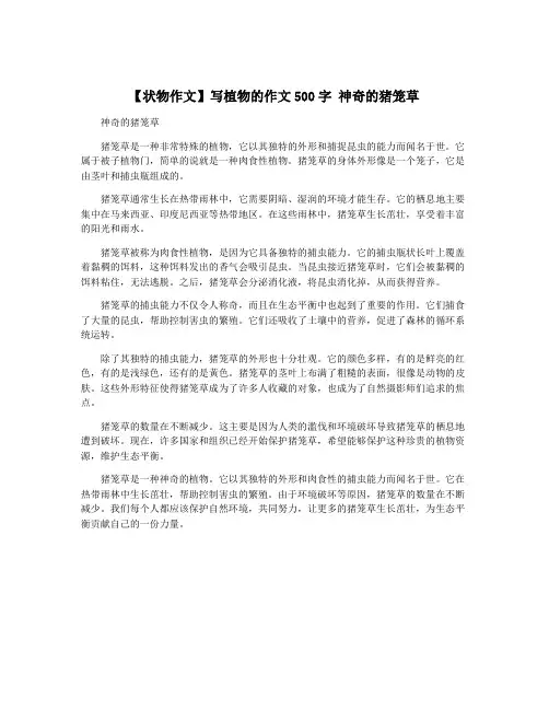 【状物作文】写植物的作文500字 神奇的猪笼草