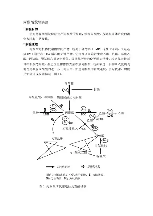 5L发酵罐丙酮酸发酵实验-天津科技大学【精品推荐-doc】