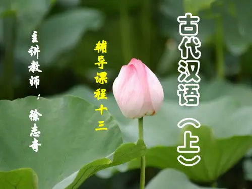 古代汉语(上)3副词