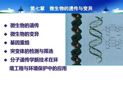 第七章微生物的遗传与变异