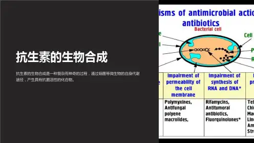 《抗生素的生物合成》课件
