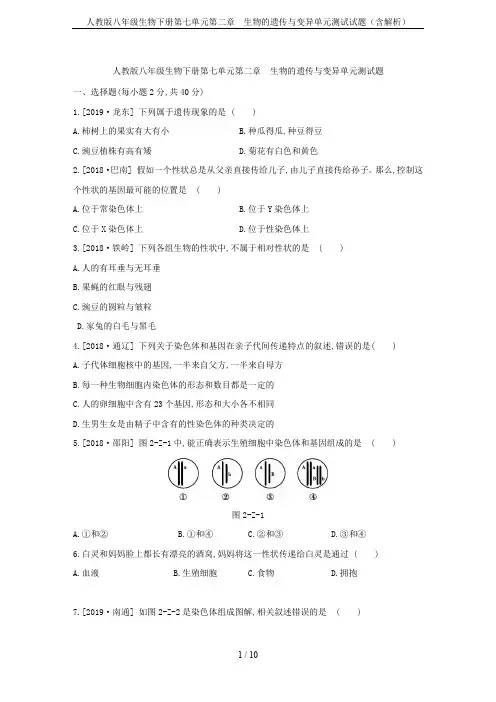 人教版八年级生物下册第七单元第二章 生物的遗传与变异单元测试试题(含解析)