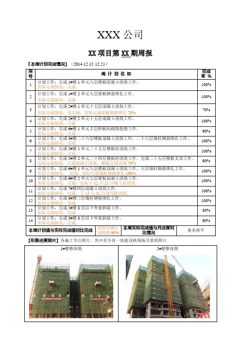 工程项目周报(图表)