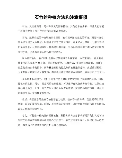 石竹的种植方法和注意事项