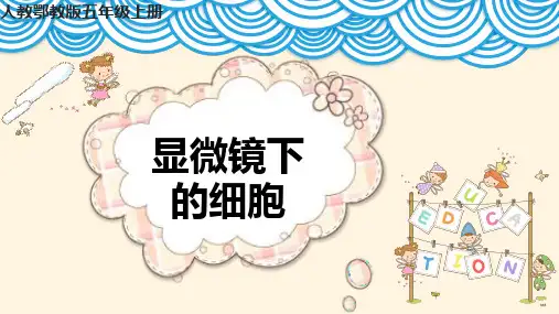 人教版五年级上册科学3.9《显微镜下的细胞》课件