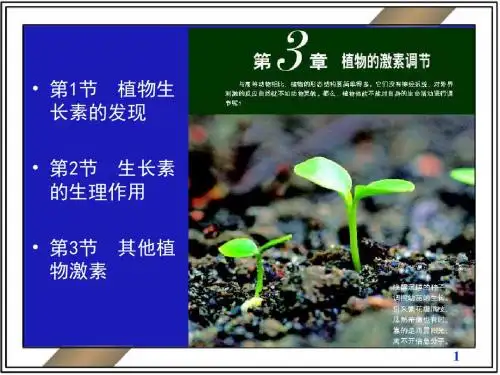 人教版生物必修三3.1《植物生长素的发现》课件共36张PPT1