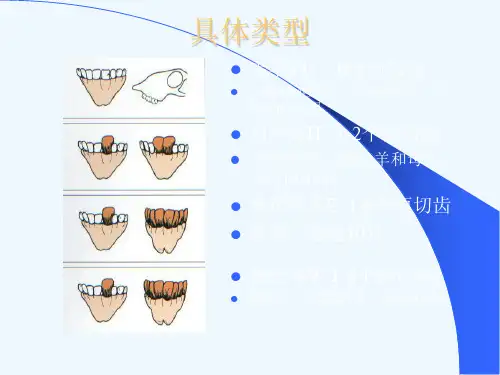 澳洲肉品手册-绵羊肉