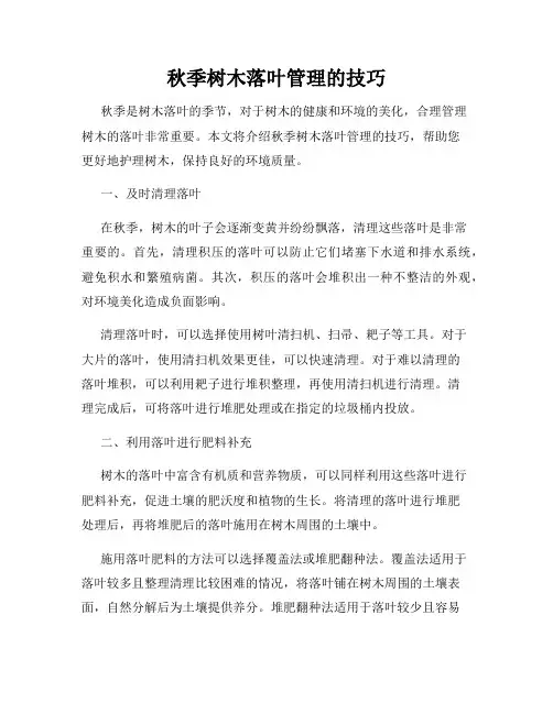 秋季树木落叶管理的技巧