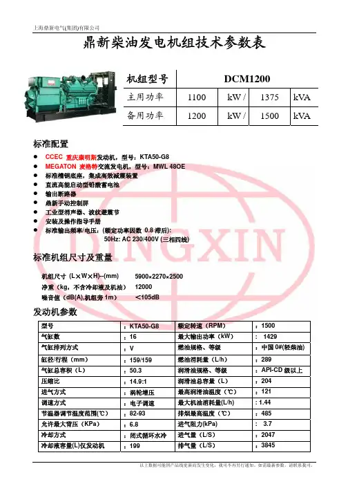 上海鼎新电气(集团) DCM1200 说明书