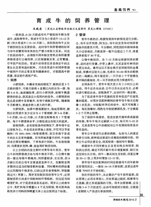 育成牛的饲养管理