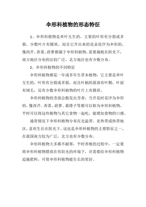 伞形科植物的形态特征