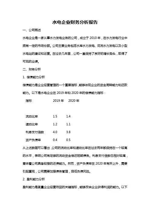 水电企业财务分析报告