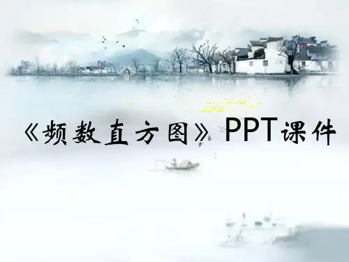 《频数直方图》PPT课件