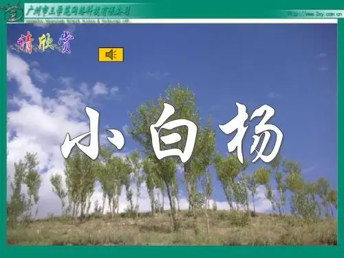 《白杨》PPT课件