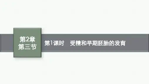 北师版高中生物学选择性必修3生物学技术与工程精品课件 第2章 第三节 第1课时 受精和早期胚胎的发育