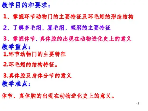环节动物门PPT课件