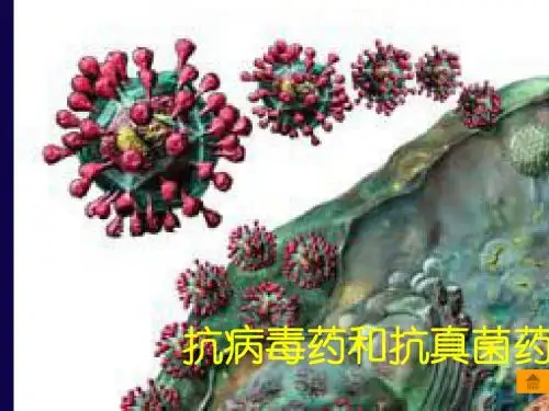 44抗真菌和抗病毒