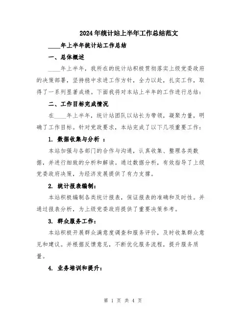 2024年统计站上半年工作总结范文