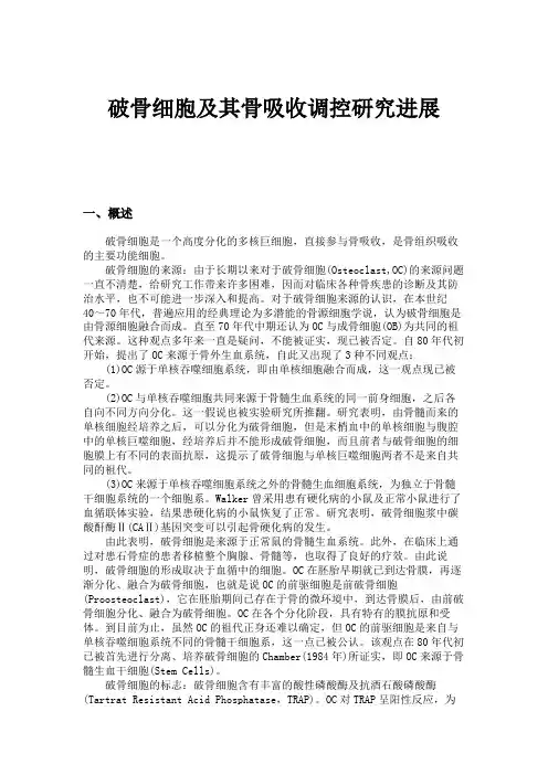 破骨细胞及其骨吸收调控研究进展.