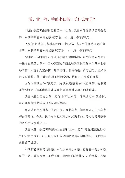 活、甘、清、香的水仙茶,长什么样子？