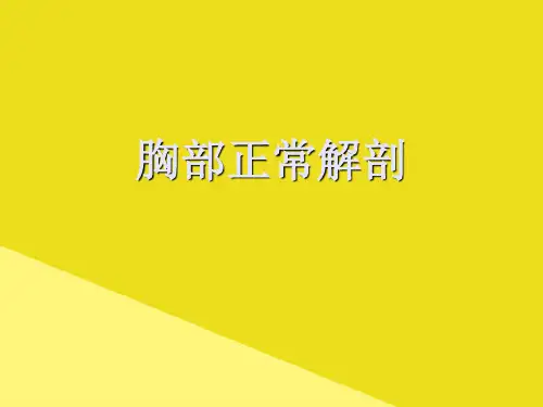 胸部正常解剖PPT资料(正式版)