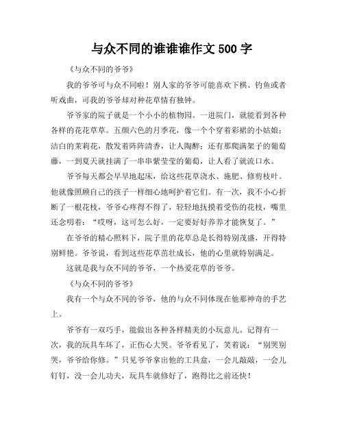 与众不同的谁谁谁作文500字