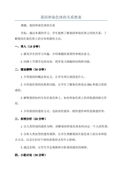 基因和染色体的关系教案