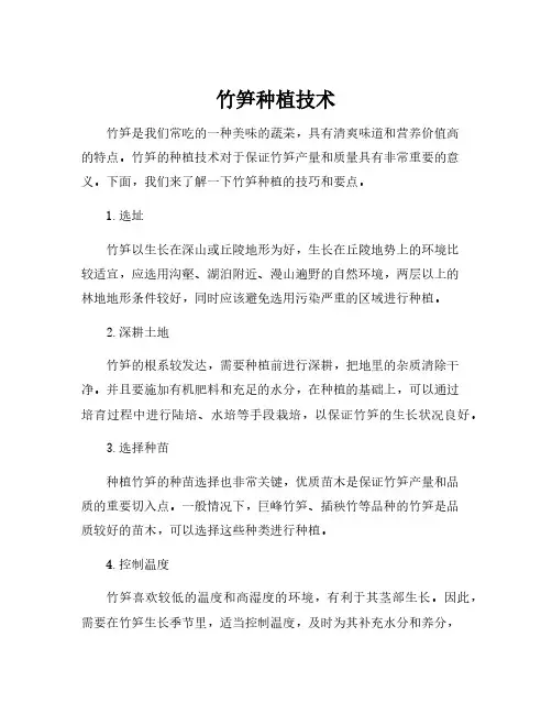 竹笋种植技术