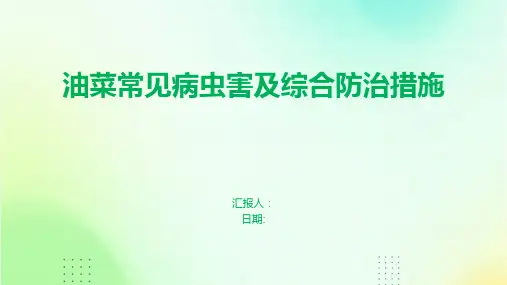 油菜常见病虫害及综合防治措施