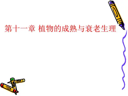 植物的成熟和衰老PPT课件