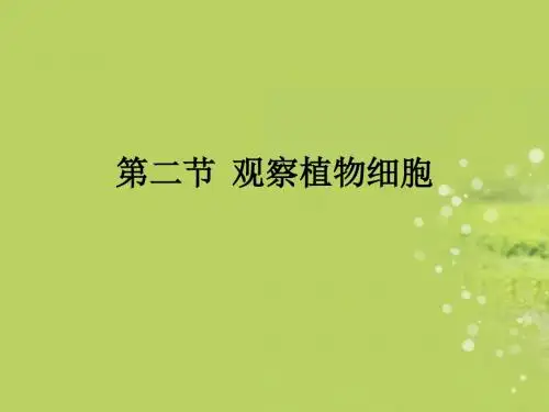 湖南师大附中博才七年级生物上册《观察植物细胞》课件