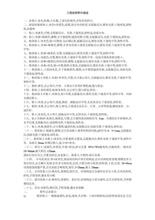 工程地质野外描述