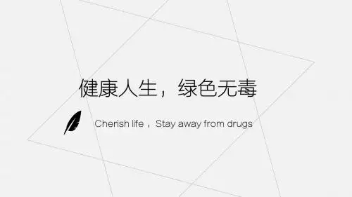 健康人生-绿色无毒主题班会