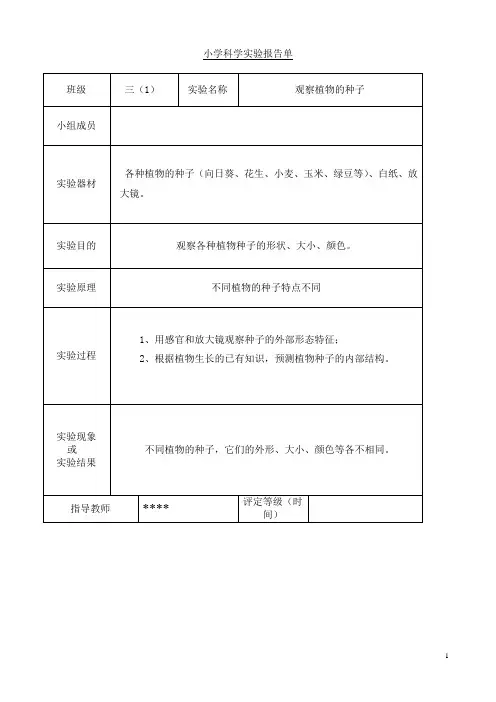 最新教科版科学三年级下册实验报告单