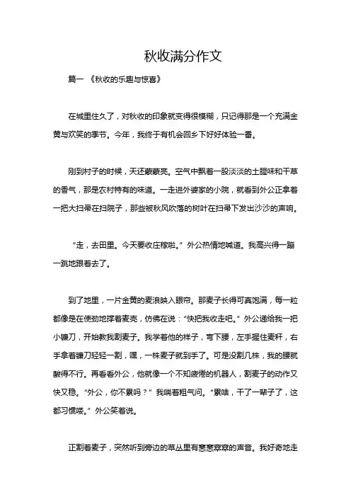 秋收满分作文