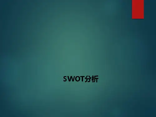 10. SWOT分析