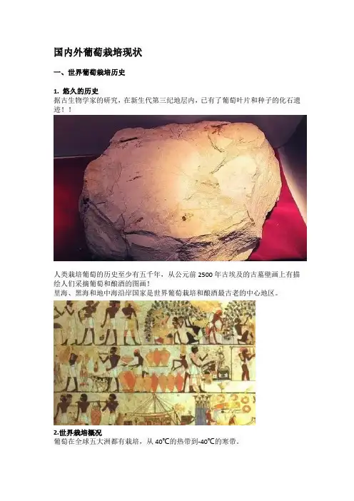 国内外葡萄栽培现状